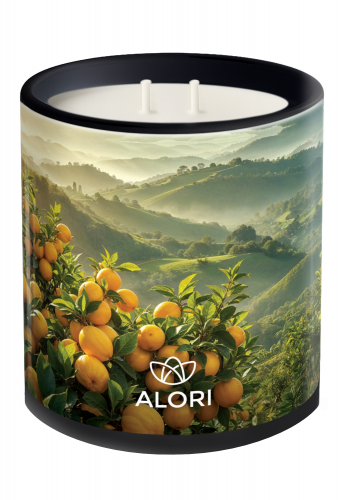 Sójová sviečka - Citrusový sad - čierna 450 ml