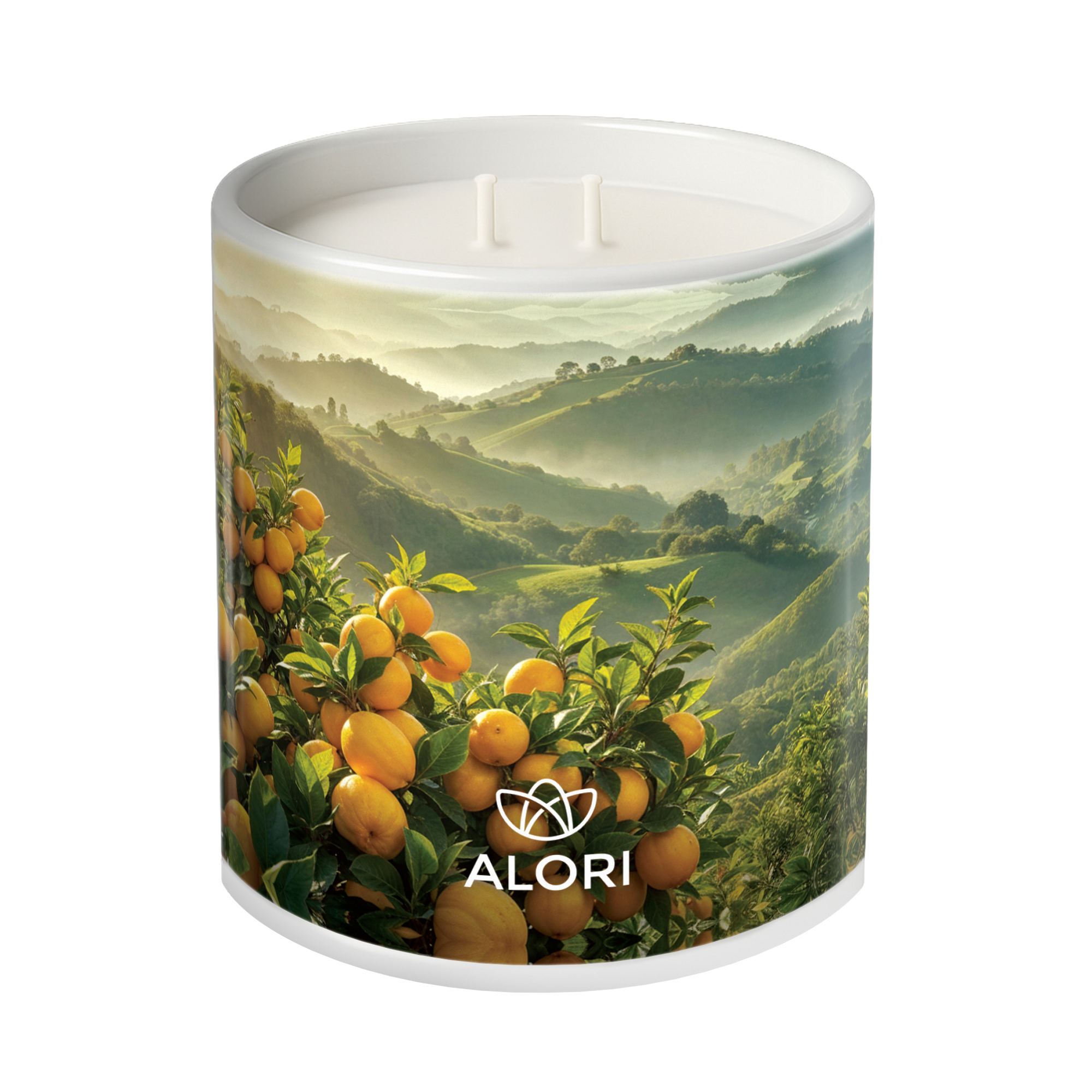 Sójová sviečka - Citrusový sad - biela 450 ml