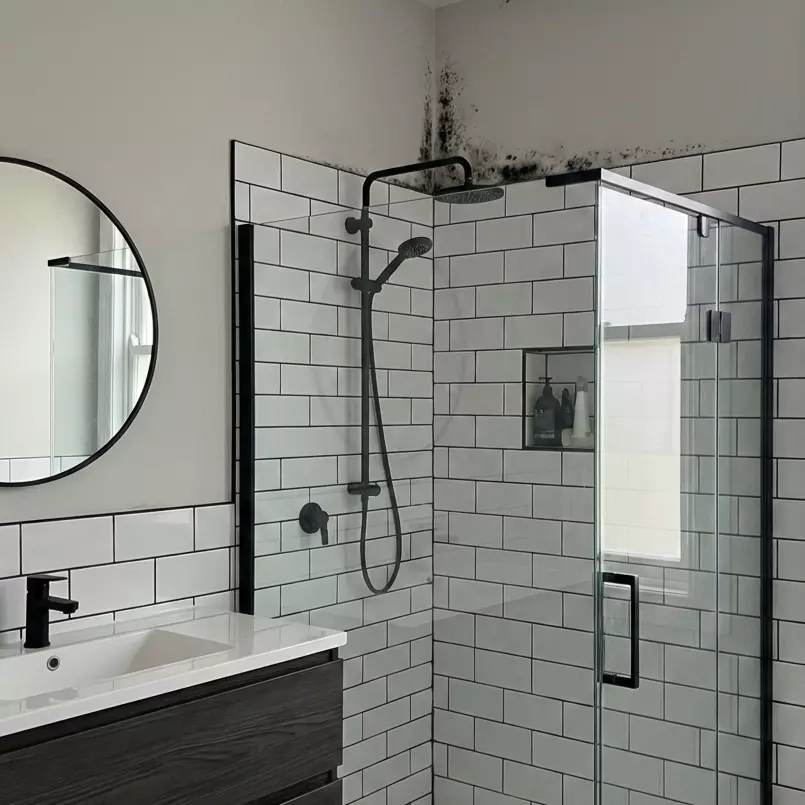 Odstraňovač plesní s dlhodobým účinkom