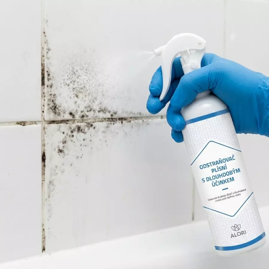 Odstraňovač plesní s dlhodobým účinkom 2+1 zadarmo