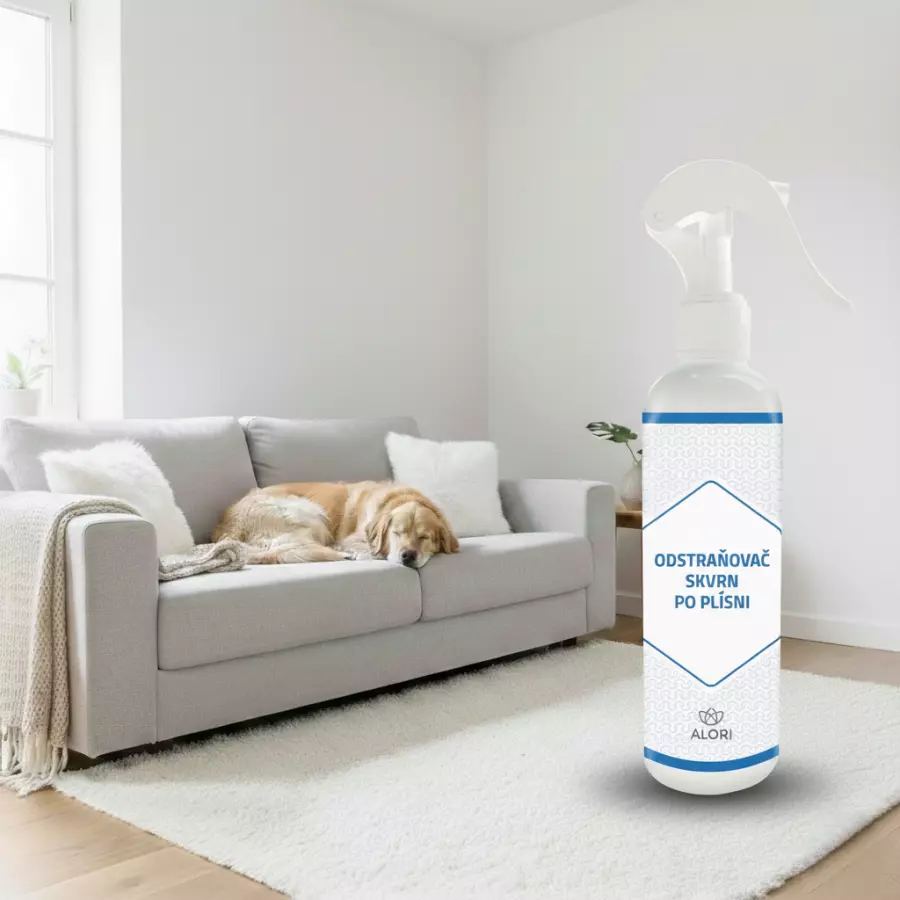 Odstraňovač škvŕn po plesni