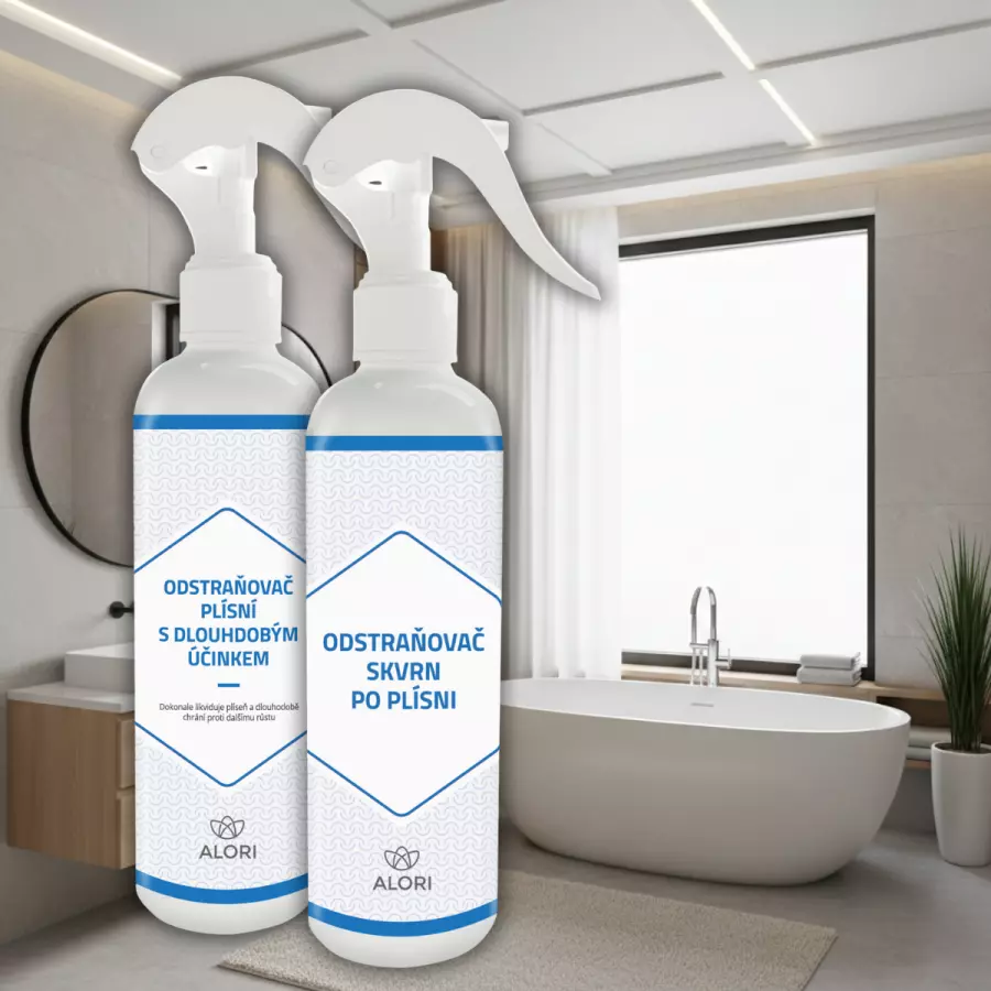 Balíček na likvidáciu plesní a odstránenie škvŕn