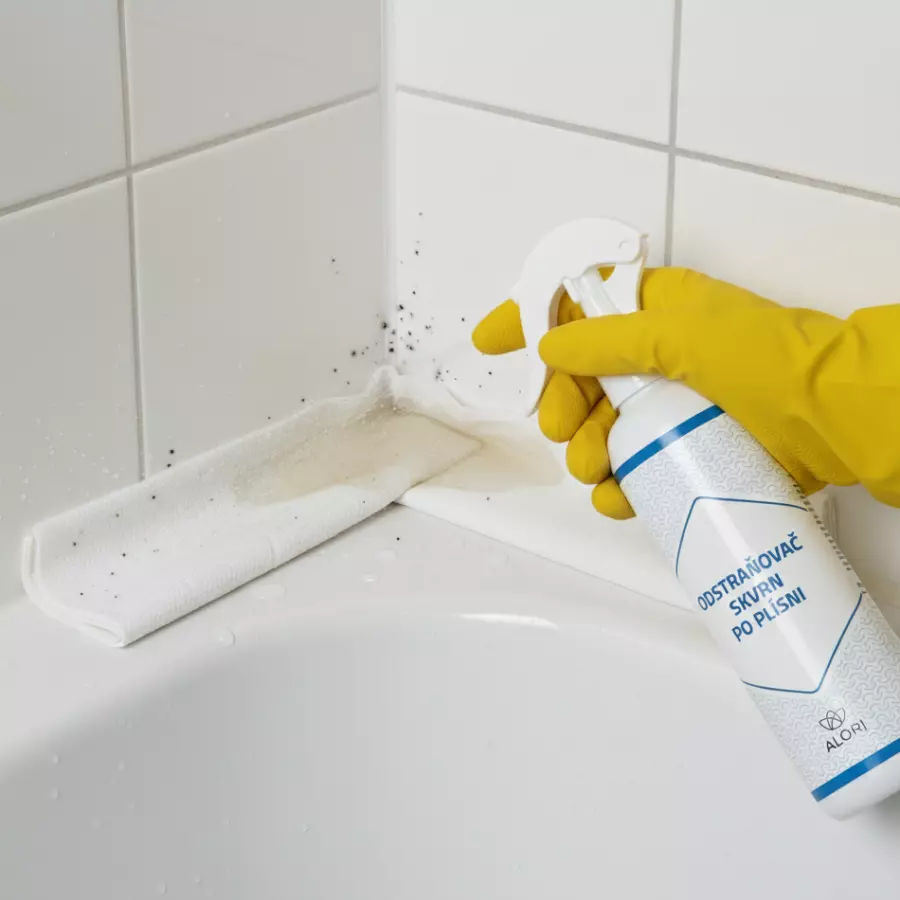 Balíček na likvidáciu plesní a odstránenie škvŕn 2+1 zadarmo